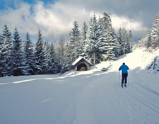 Skilanglauf in Thringen