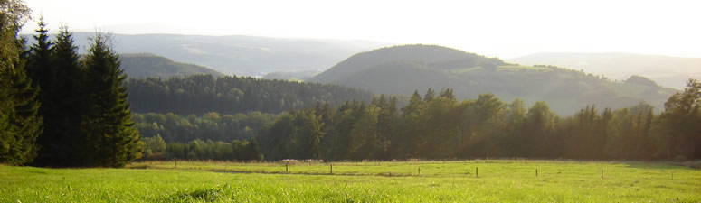 Blick ber den Thringer Wald