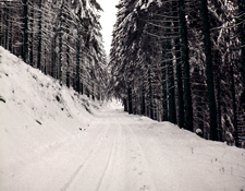 Thringer Winterwald