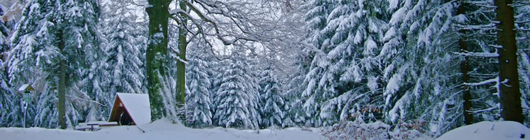 Thringer Wald im Winter